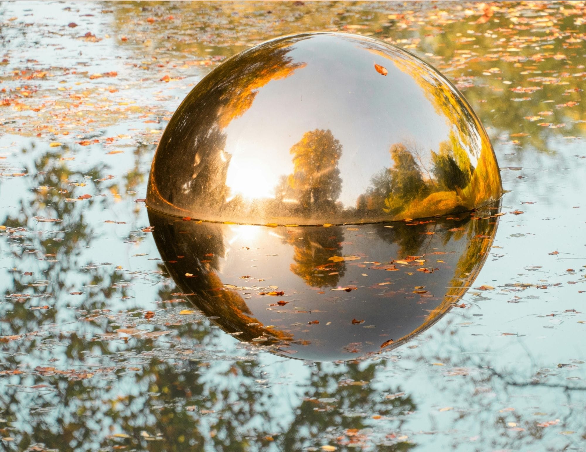 Reflet de la nature sur un lac symbolisant la clarté du chakra du cœur