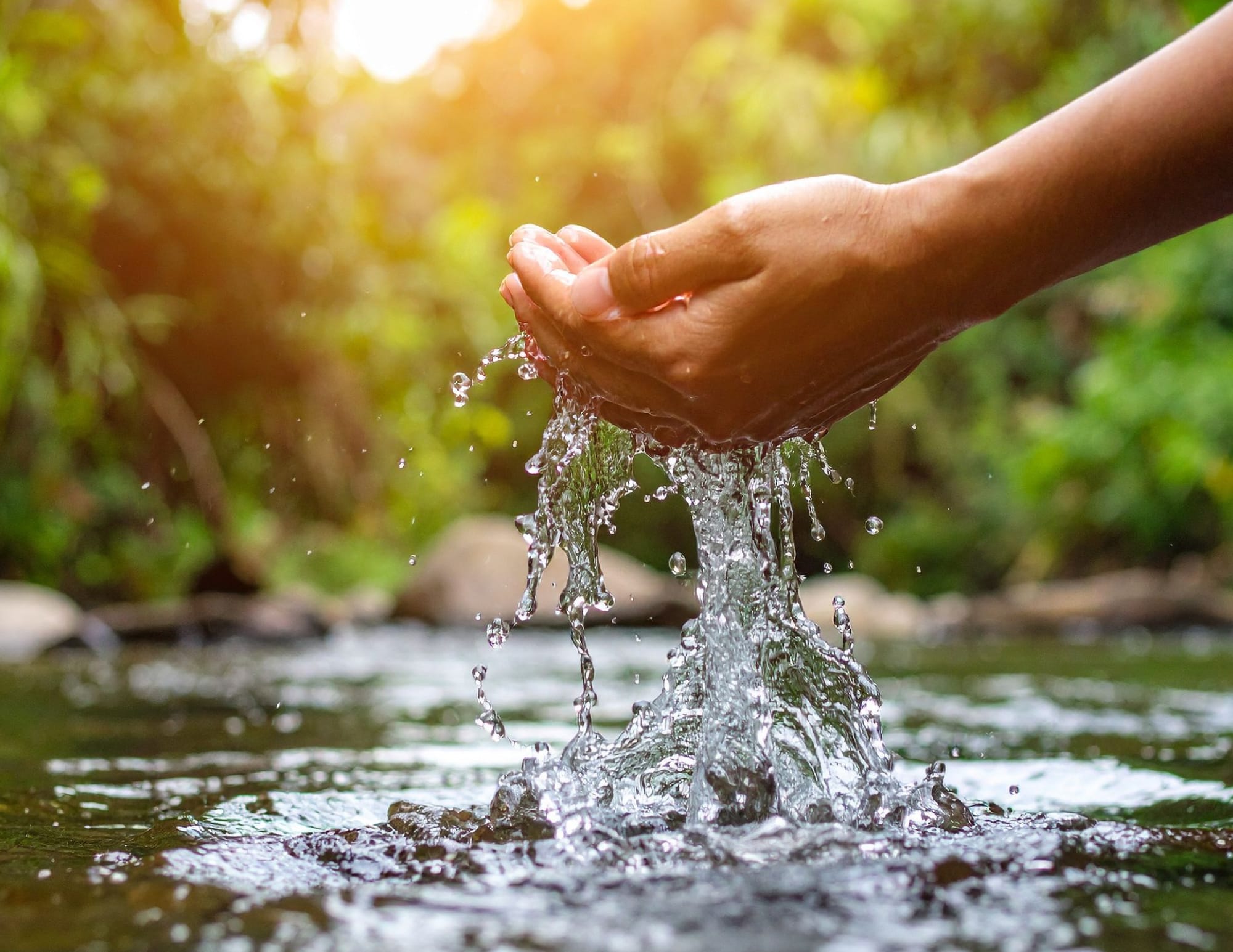 Mains au contact de la nature pour symboliser l'intégration et l'ancrage