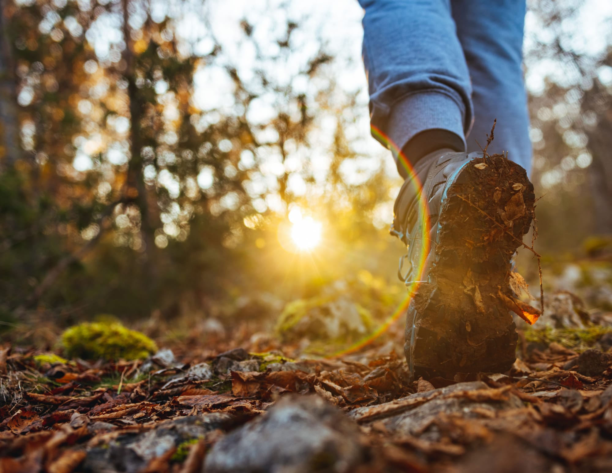 Marche consciente en forêt illustrant le cheminement et l'intégration pas à pas