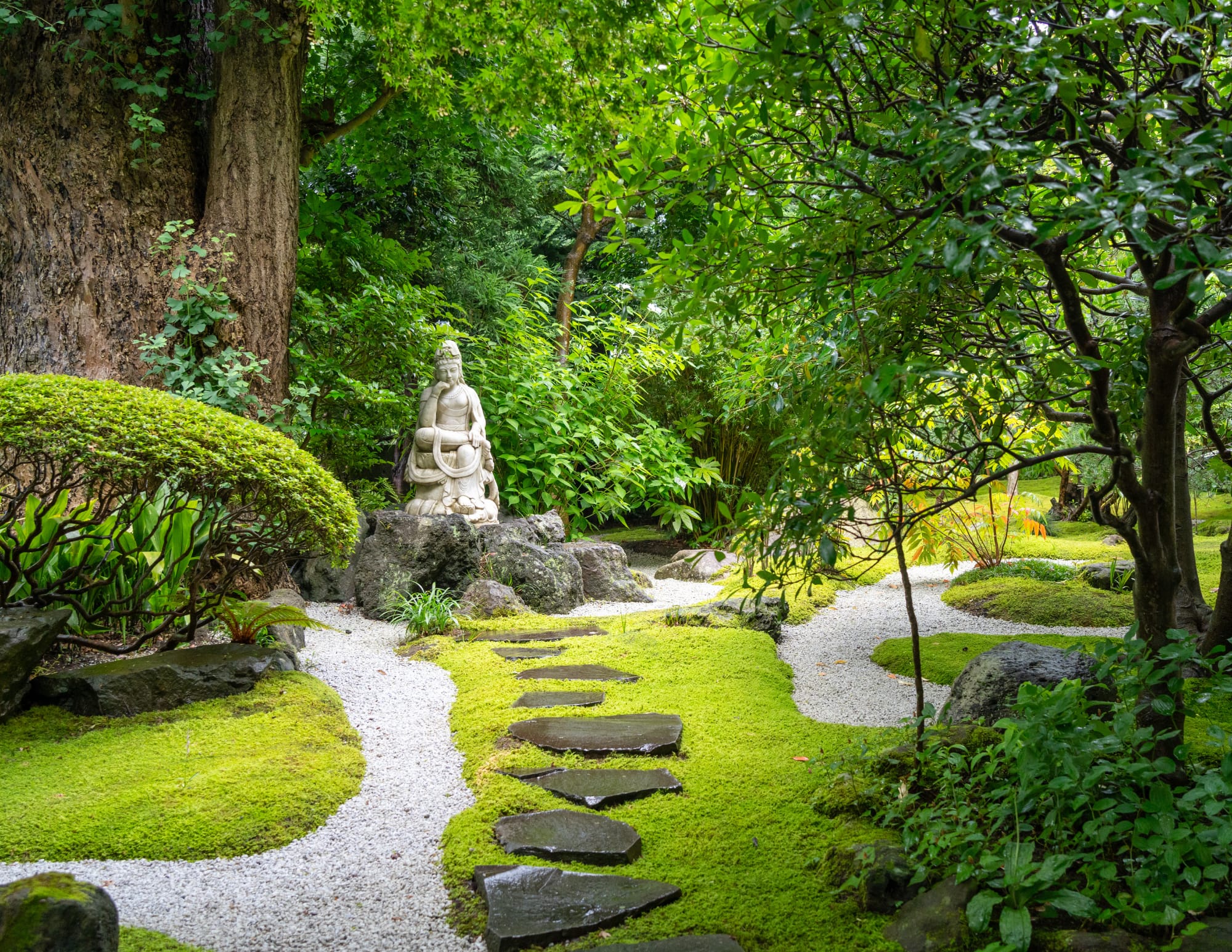 Jardin zen japonais avec un chemin illustrant l'origine et le cheminement des symboles Reiki