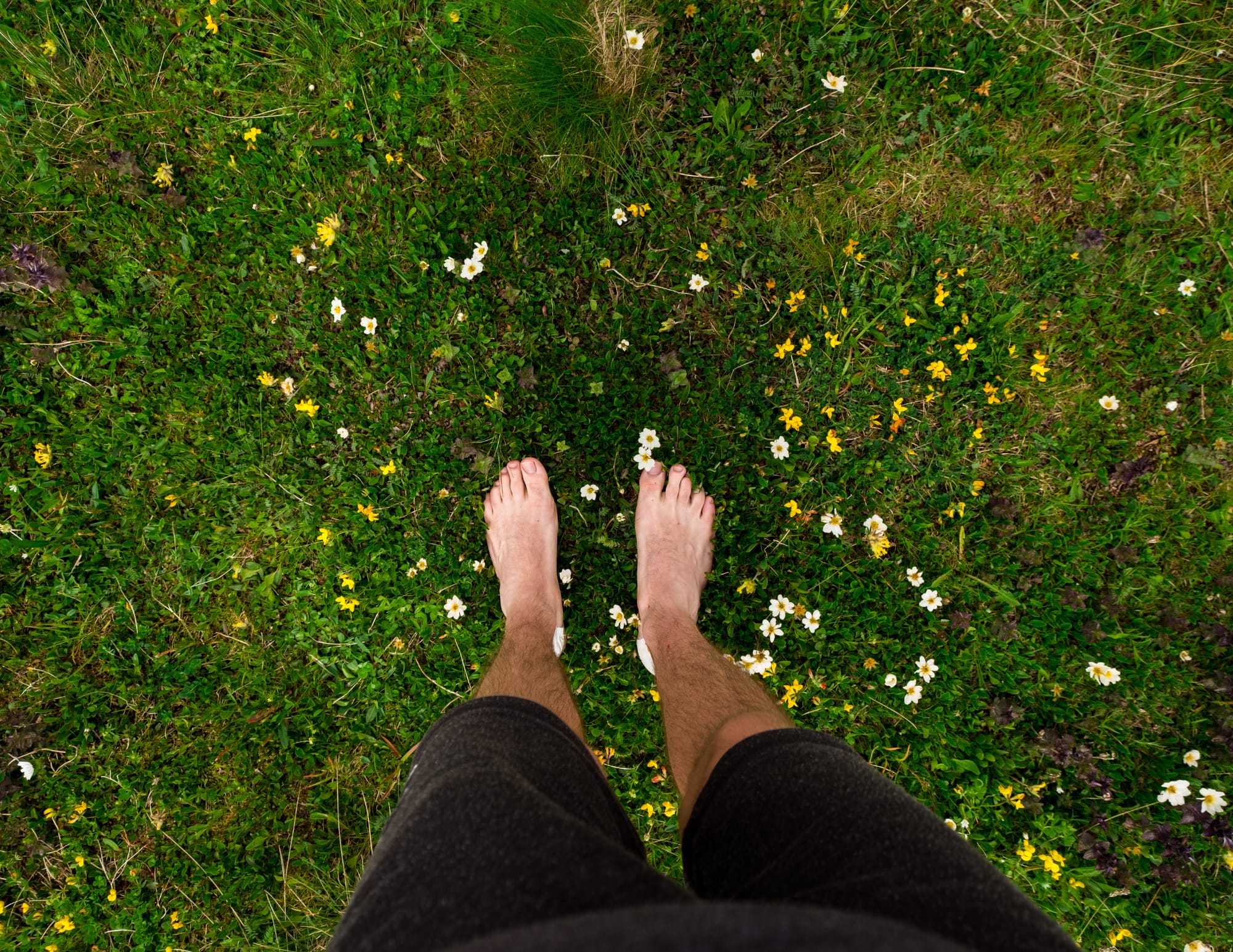 Pieds ancrés dans la terre, pratique du earthing pour le chakra racine