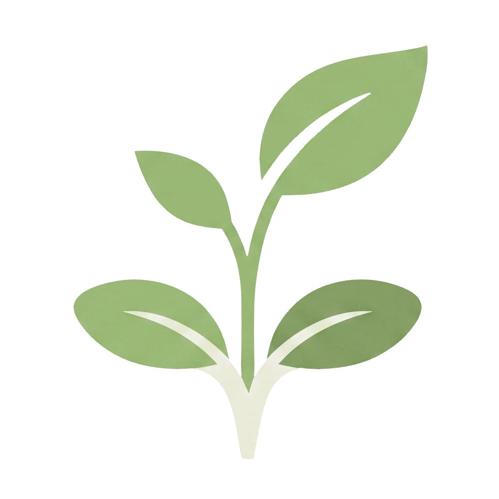 Pousse de Reiki - Formation Reiki Niveau 1 Découverte