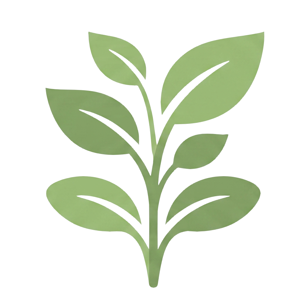 Développement des feuilles - Formation Reiki Niveau 2 Approfondissement