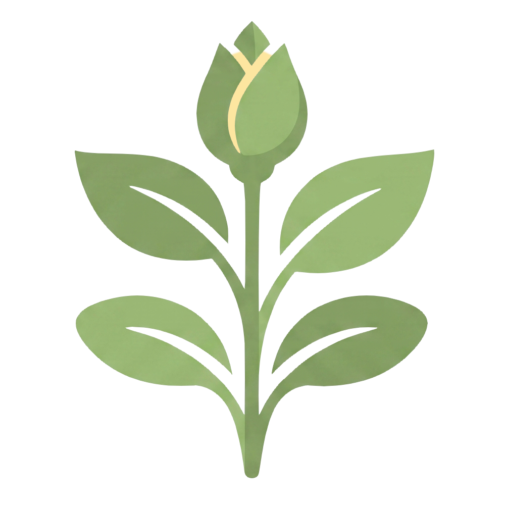Formation du bourgeon - Formation Reiki Niveau 3 Praticien